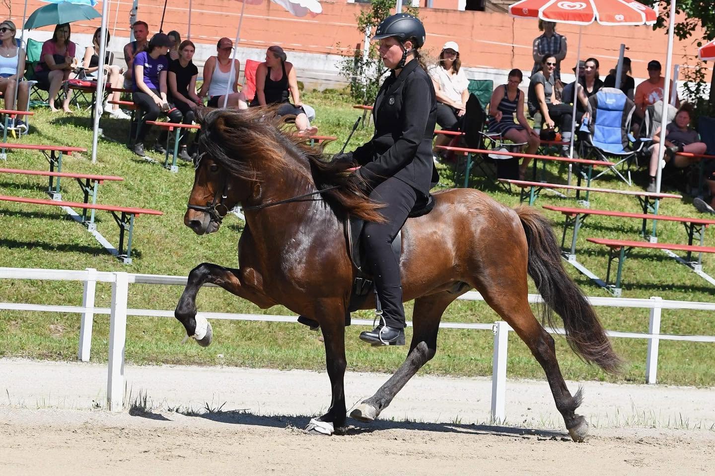 Reiten lernen von den Besten