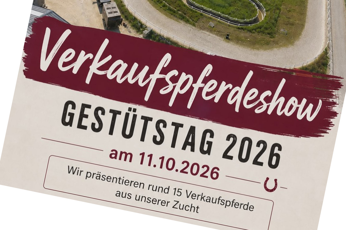 Herbst-Gestütstag & Hausturnier
am 11.10.2026